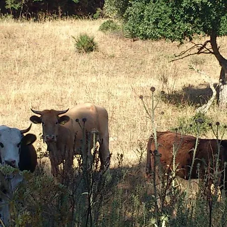 Riserva Del Noce-2